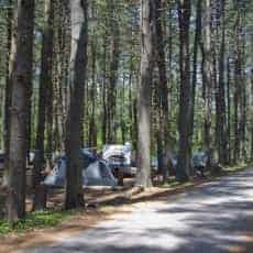 Bear Brook State Park – Section B