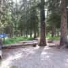 cut-bank-campground-glacier-national-park-site-2