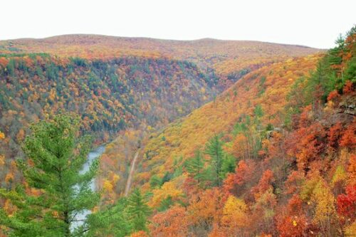 Leonard Harrison State Park
