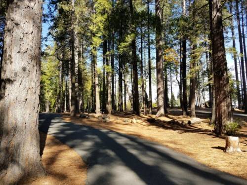 Golden Pines RV Resort and Campground