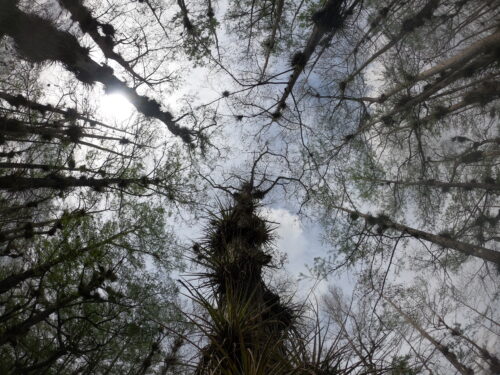 Monument Lake Campground