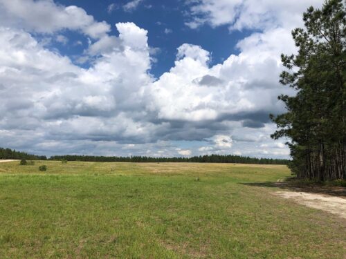 H. Cooper Black Jr. Memorial Field Trial and Recreation Area