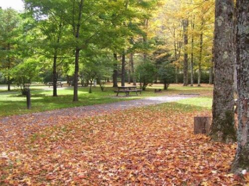 Sizerville State Park