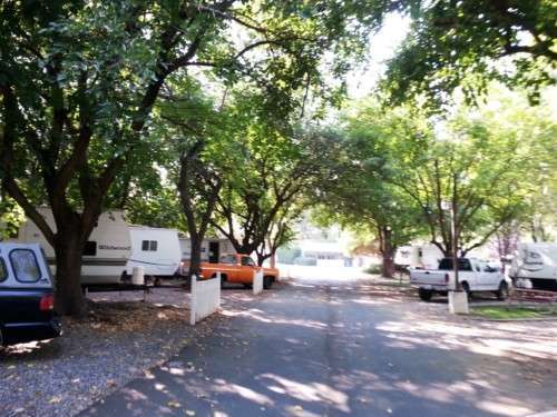 Sacramento River RV Park