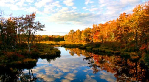 Tobyhanna State Park