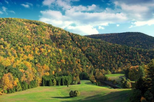 Sinnemahoning State Park