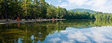 White Lake State Park – Section 1 Part B