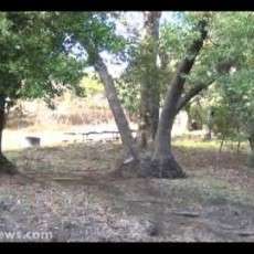 Cerro Alto Campground