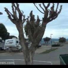 Ciudad Del Rey Motel & Trailer