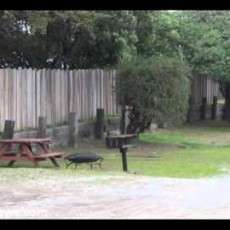 Marina Dunes RV Park