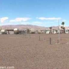 Petersen’s Tecopa Palms