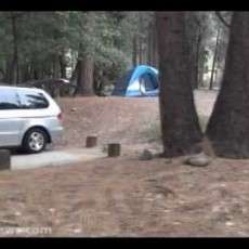 Pineknot Campground