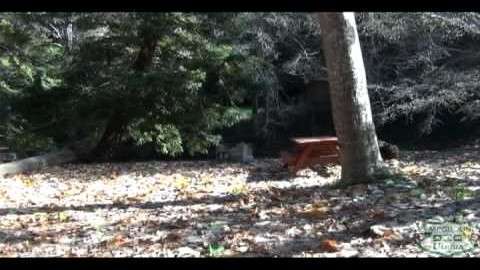 Riverside Campground