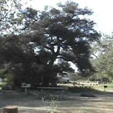 Ronald W. Caspers Wilderness Park