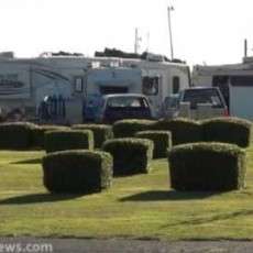 Salmon Harbor Resort