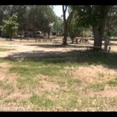 Shady Oasis Kampground