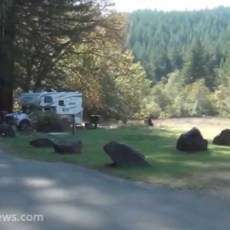 Albee Creek Campground – Humboldt Redwoods State Park
