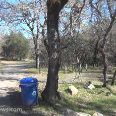 Bothe-Napa Valley State Park