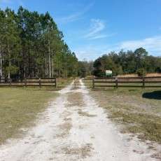 Oak Ridge Equestrian Area Campground