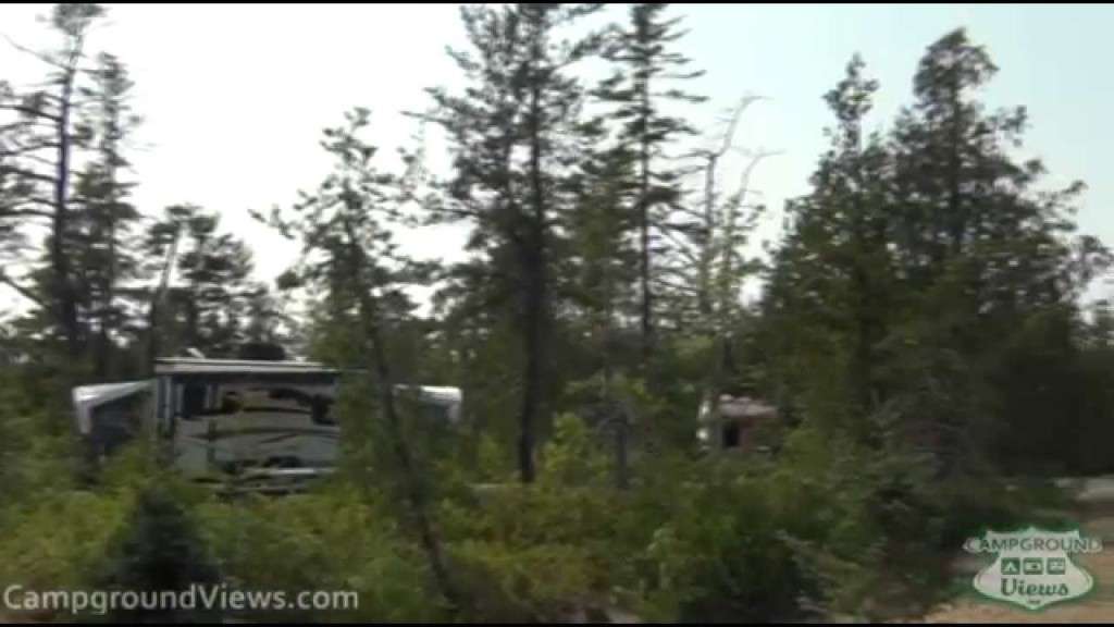 Schoodic Woods Campground