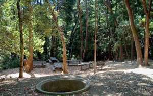 Huddart Park – Toyon Campground