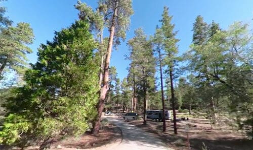 Barton Flats Family Campground