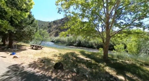 Tree Of Heaven Campground