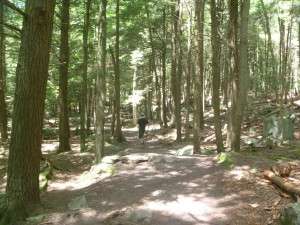 Ricketts Glen State Park