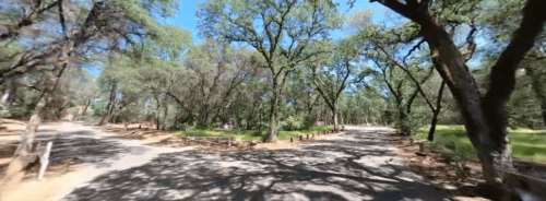 Lake Oroville State Recreation Area Coyote Campground