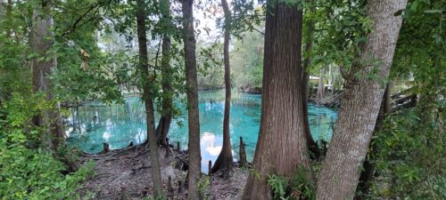 Ginnie Springs
