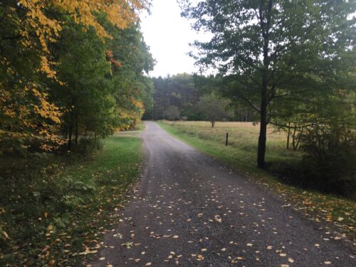 Hearts Content Recreation Area Campground