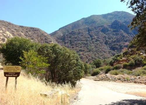 Convict Flat Campground