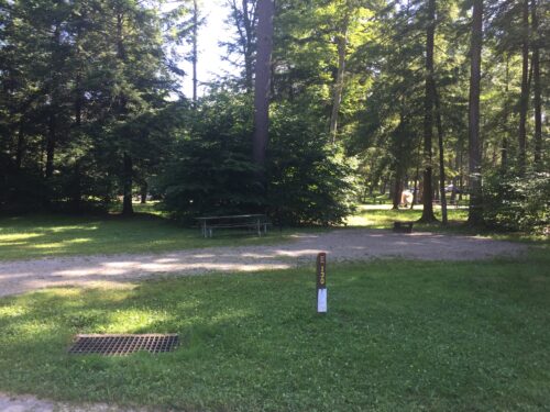 Cook Forest State Park