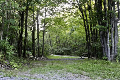 Peaceful Woodlands Campground